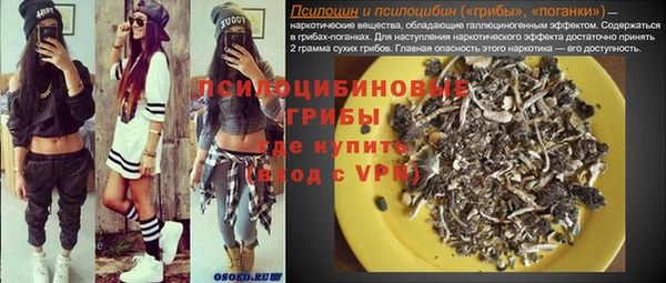 эйфоретик Алзамай