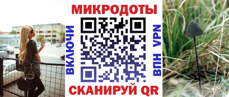 Галлюциногенные грибы Psilocybe  Неман 