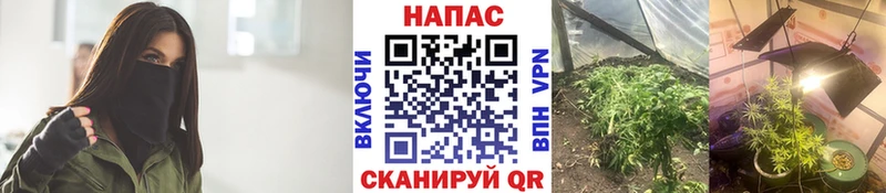 МАРИХУАНА сатива  дарнет шоп  Неман 